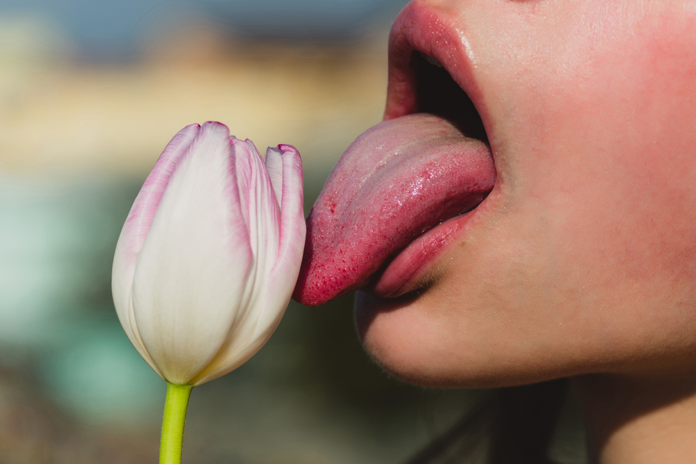 Oralsex: So funktioniert Cunnilingus richtig Oralsex: So funktioniert Cunnilingus richtig