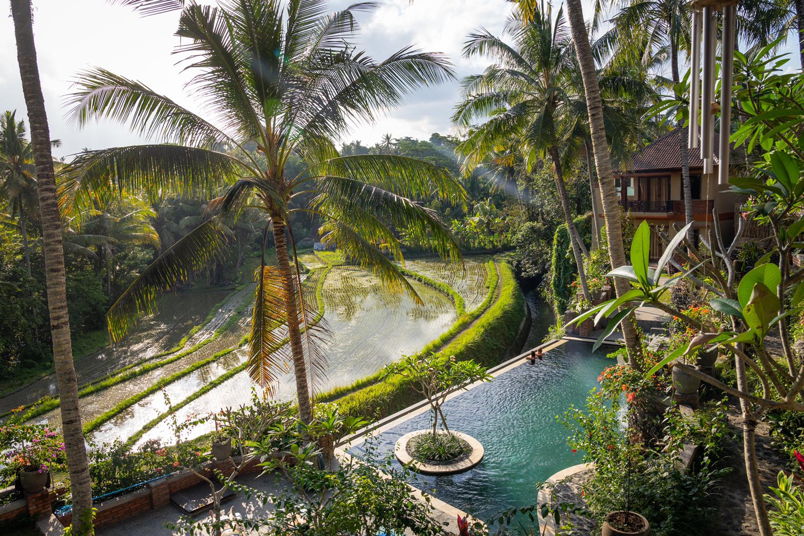 BALI Love – 5 Gründe, warum wir Bali so sehr lieben