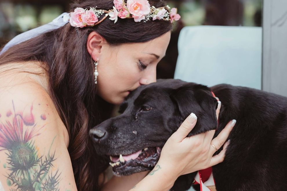 Hund überlebt bis zur Hochzeit und überrascht alle