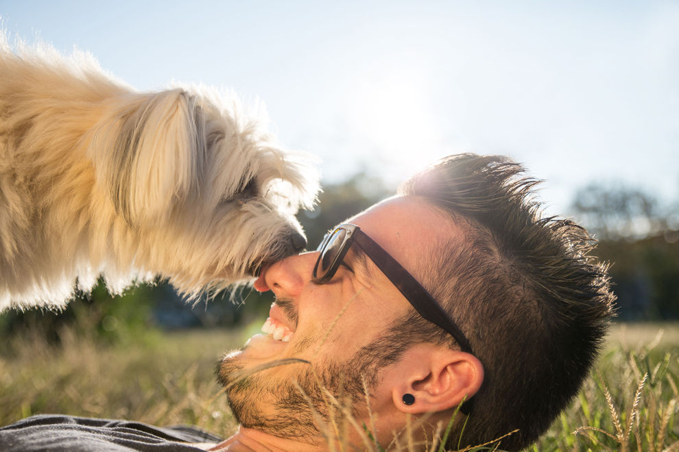 Warum Hundebesitzer die besten Partner sind