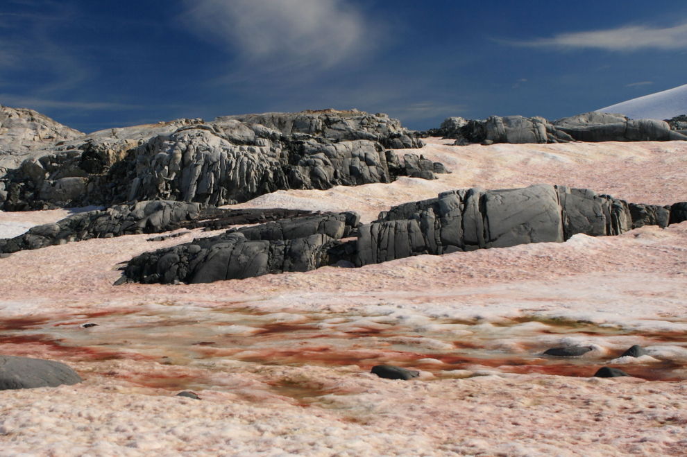 Das richtet der Blutschnee mit unserem Planeten an