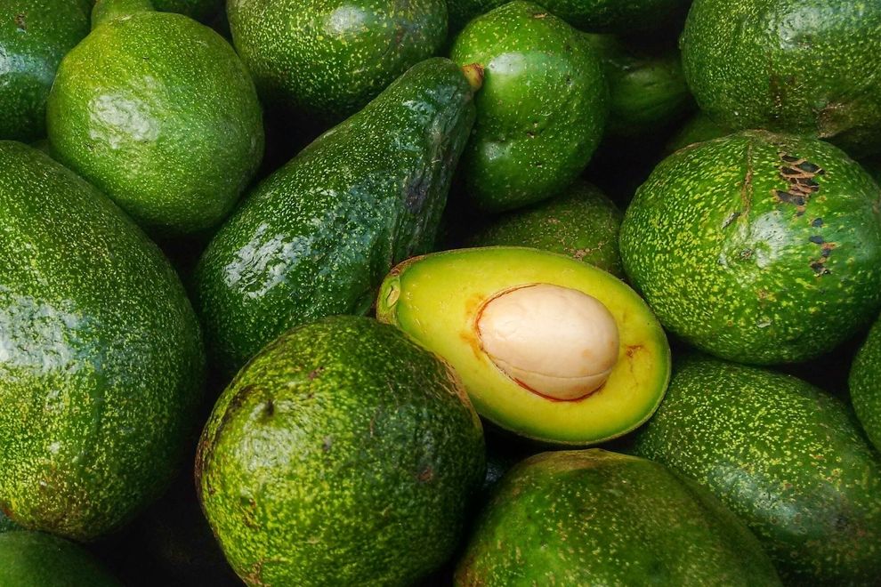 Avocado Frucht und Blätter auf rustikales Holz