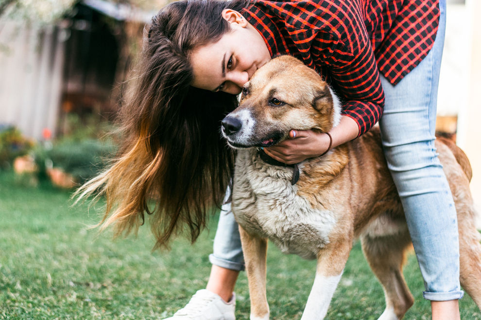 Dieses Unternehmen gibt frischen Hundeeltern  eine Woche bezahlten Urlaub