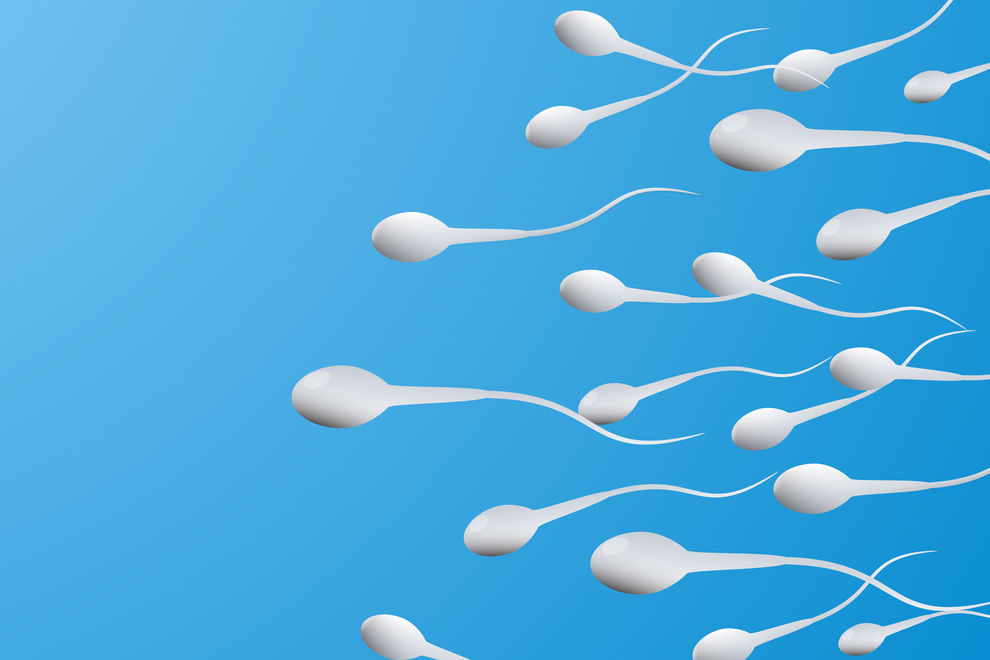 Männer produzieren immer weniger Sperma