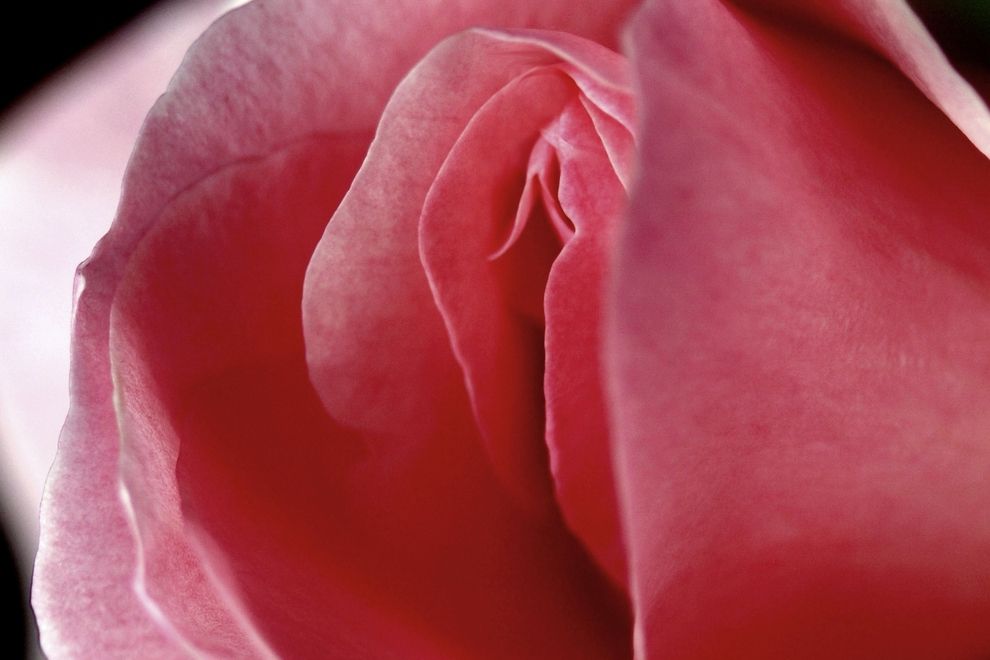 Orgasmus-Probleme: Das kannst du tun, um schneller zu kommen Orgasmus-Probleme: Das kannst du tun, um schneller zu kommen