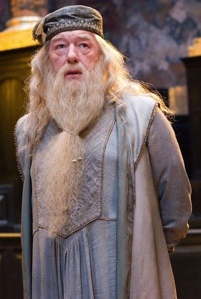 harry potter the secrets of dumbledore