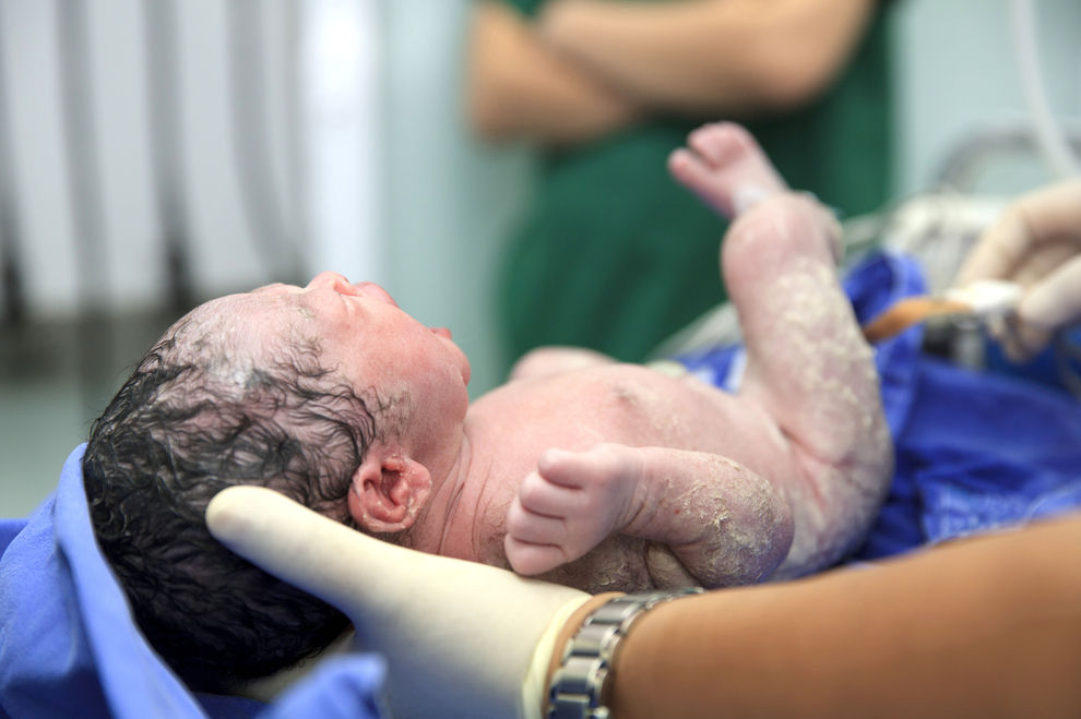 Das „Schneebaby“ kam nun zur Welt