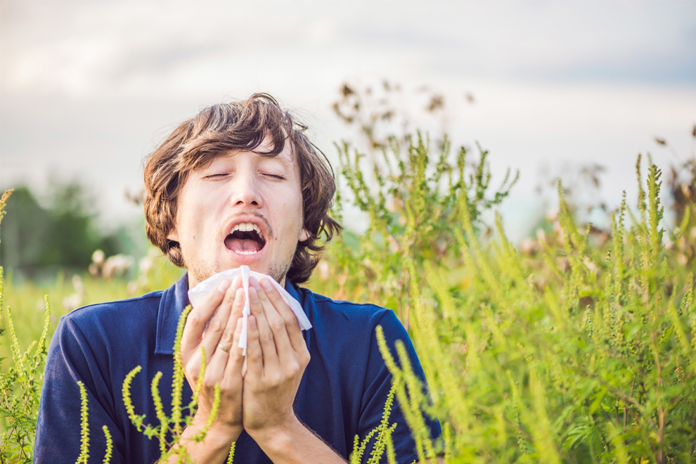 Allergien, Unverträglichkeiten und Co: Werden wir immer empfindlicher?