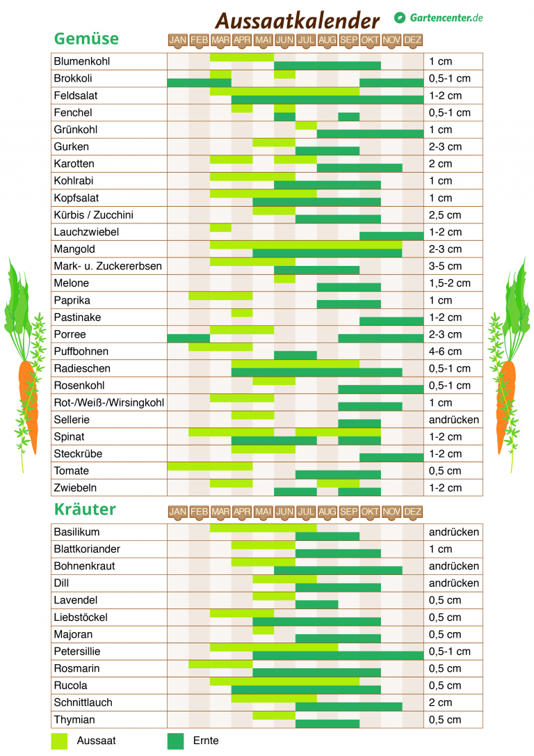 Pflanzkalender 2018 Wann man Gemüse und Kräuter pflanzen kann