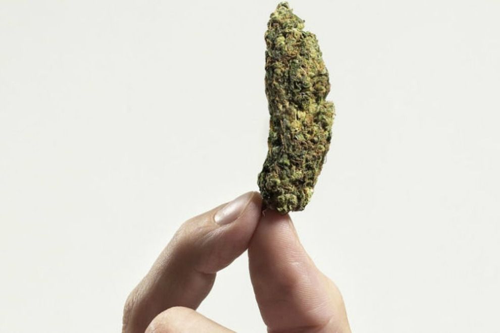 Zum Einführen: Cannabis-Tampon soll gegen Regelschmerzen helfen