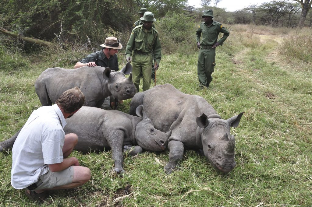 Frauen kämpfen gegen Nashorn-Wilderer in Afrika