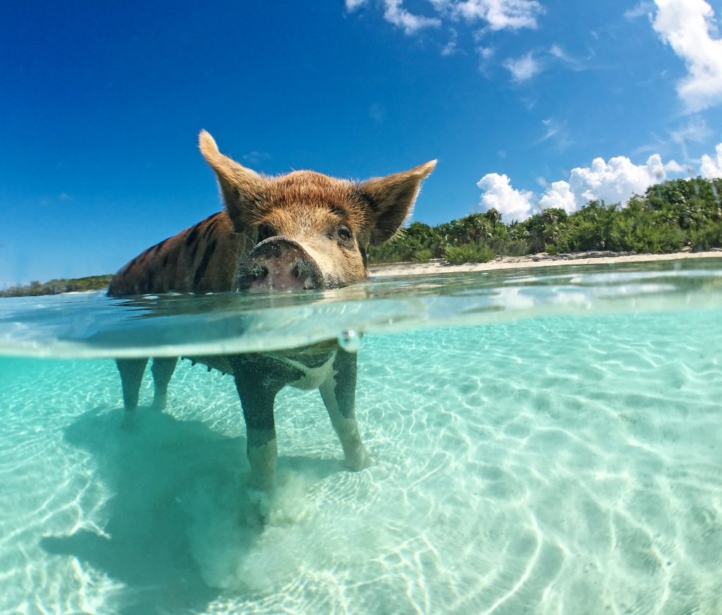 Expectation vs. Reality: Urlaubsziele, die enttäuschen