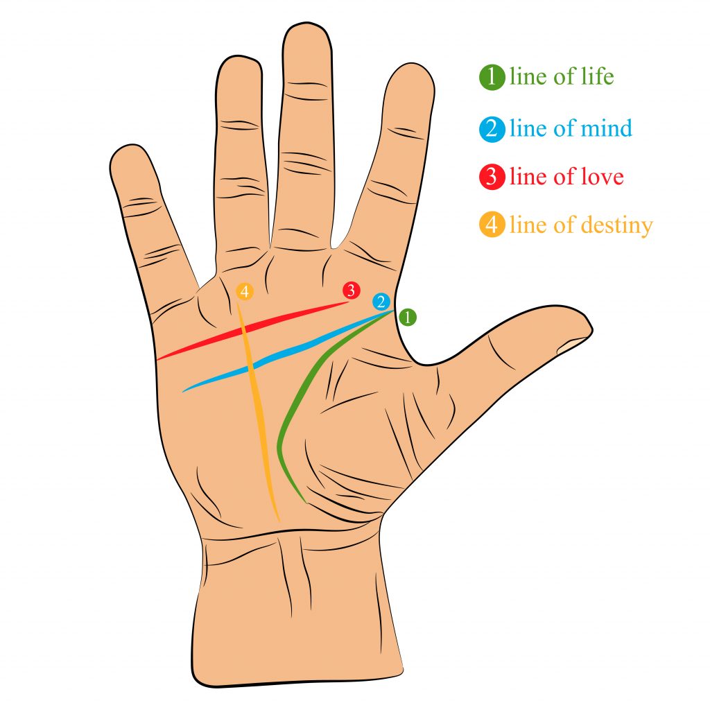 Lesen handlinien Handlesen: Die