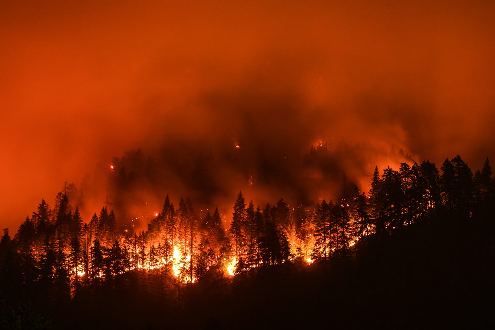 Waldbrände in Kalifornien: Kanye West spendet 500.000 Dollar