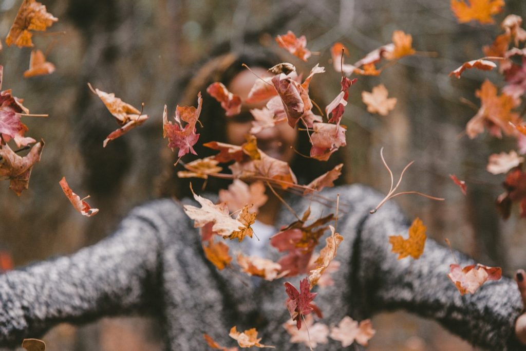 Der Herbst kommt