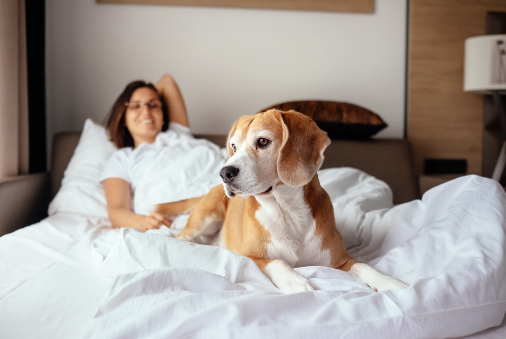 Studie: Hunde sind der perfekte Einschlafpartner für Frauen