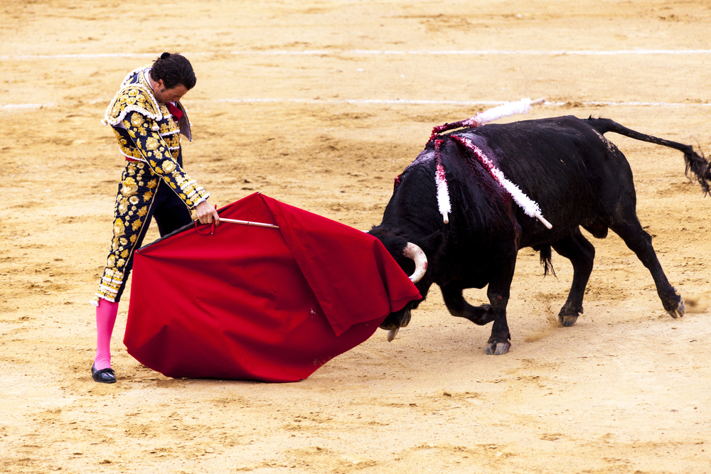 Das Töten der Stiere bei Stierkämpfen auf Mallorca wieder erlaubt