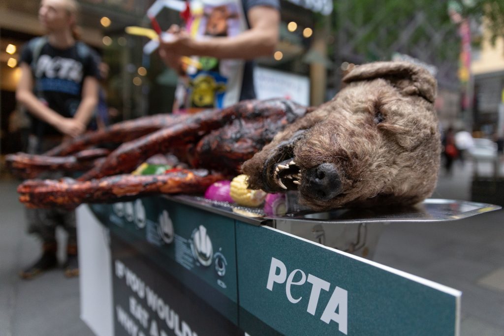 PETA-Tierschützer grillen Hund als Protestaktion gegen Fleischkonsum