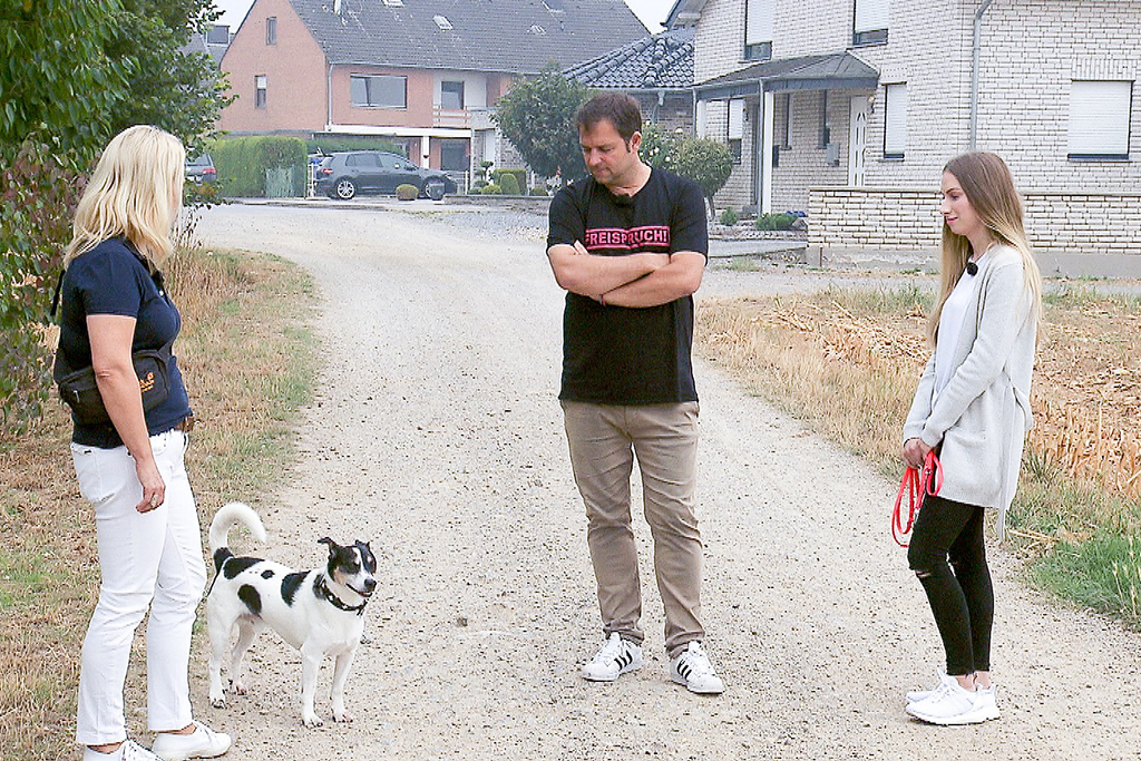 Wer ist Martin Rütter? Alles was man über den Hundeprofi wissen muss - Martin Ruetter TV Now Mina Tv2