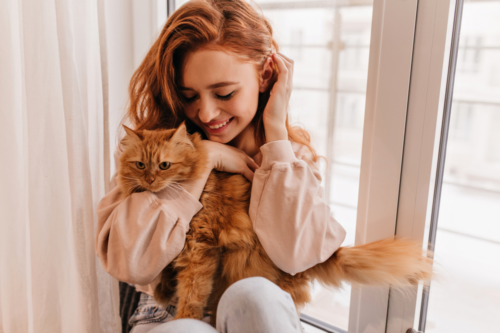 5 Gründe, warum Katzen bessere Partner als Männer sind