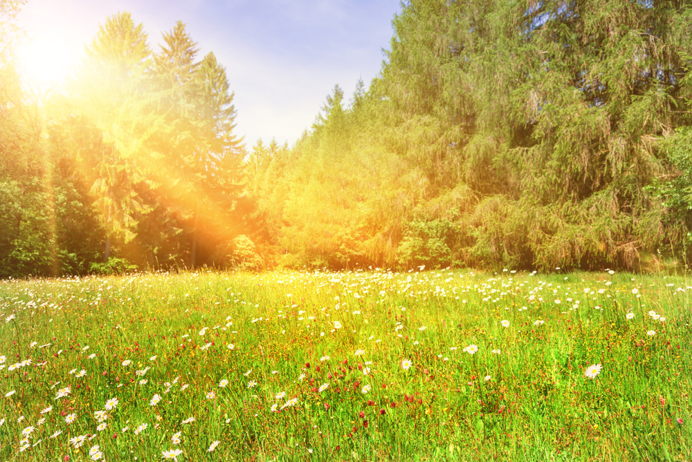 So gefährlich ist die Frühjahrssonne wirklich