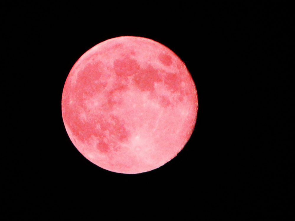 Pinker Vollmond im April: Wann und wo er zu sehen ist