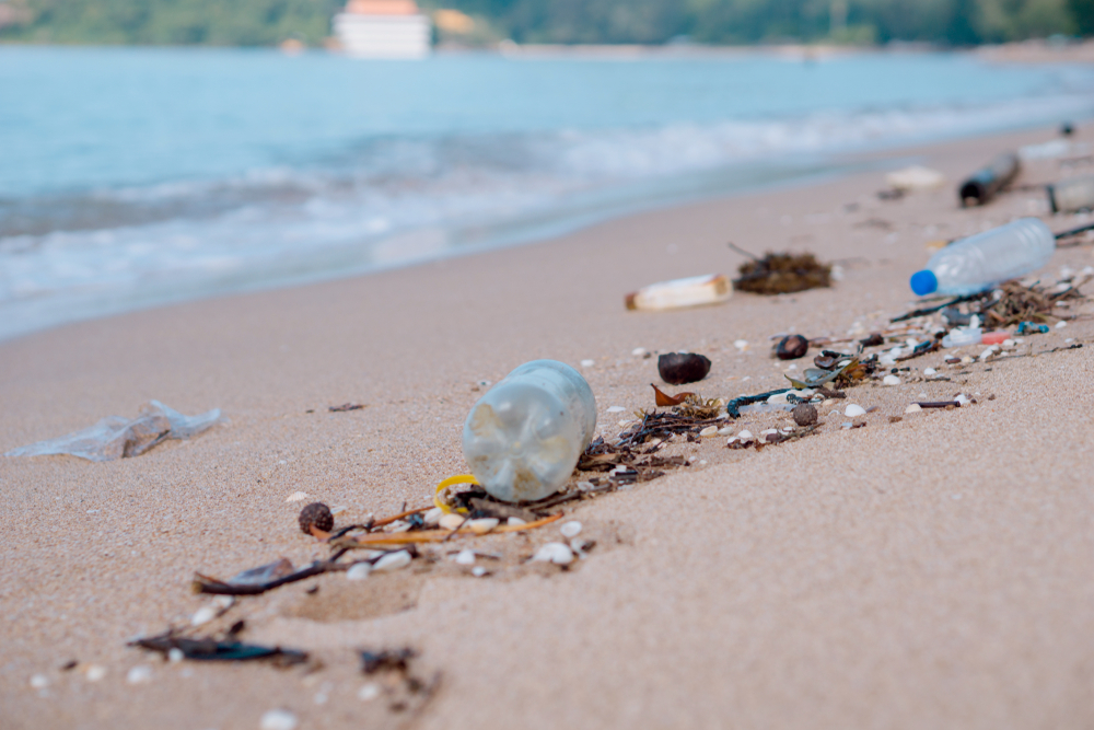 Wir nehmen wöchentlich bis zu fünf Gramm Mikroplastik auf