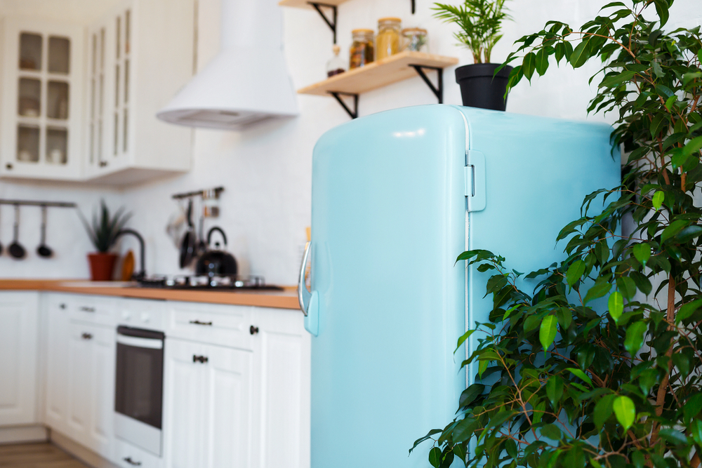 Beauty Fridge: Deshalb wollen alle diesen Kühlschrank