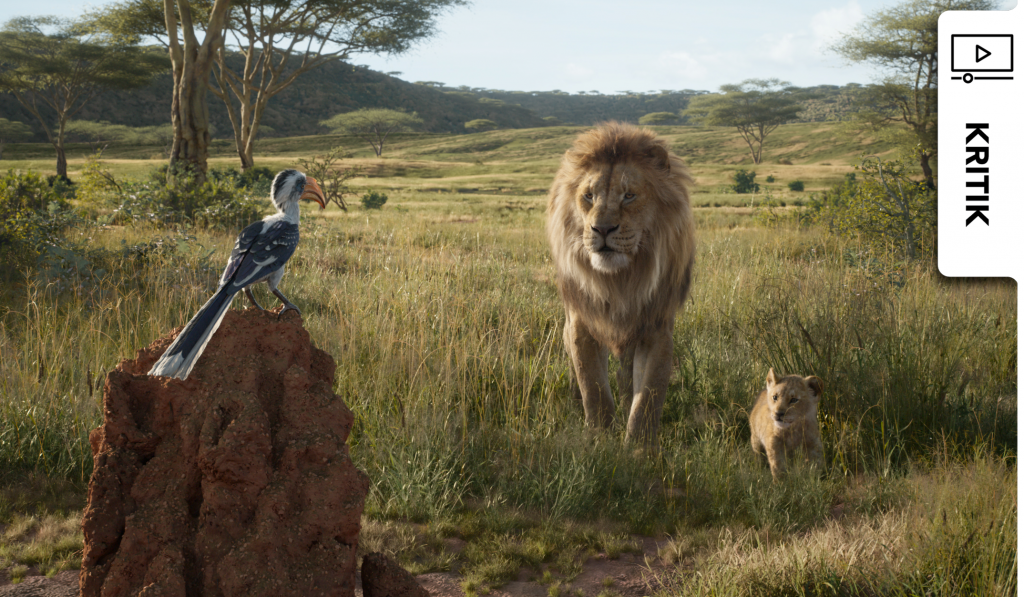 König der Löwen: So ist die Neuverfilmung des Disney-Klassikers