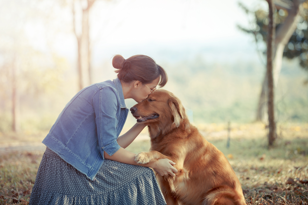 Ungewöhnliche Hochzeit: Frau heiratet ihren Hund live im TV