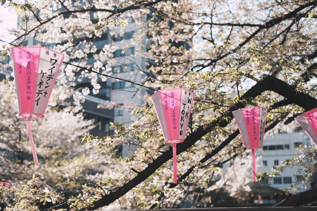Tokio Mania: 5 Gründe, warum du jetzt nach Tokio reisen solltest