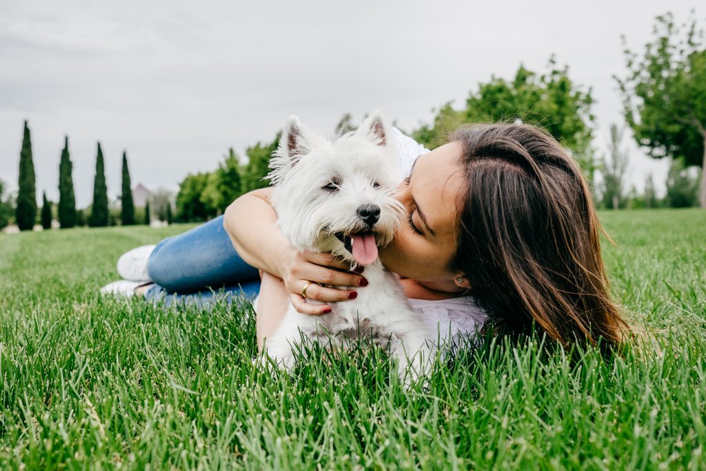 Studie: Mehr als die Hälfte der Hundebesitzer küssen Hund mehr als Partner