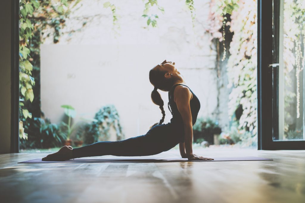 Alpaka Yoga: So funktioniert es