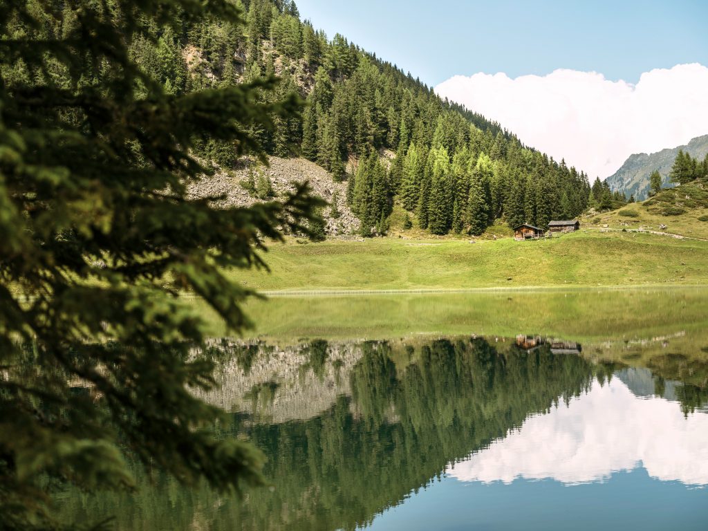 5 Dinge, die du täglich für die Umwelt tun kannst