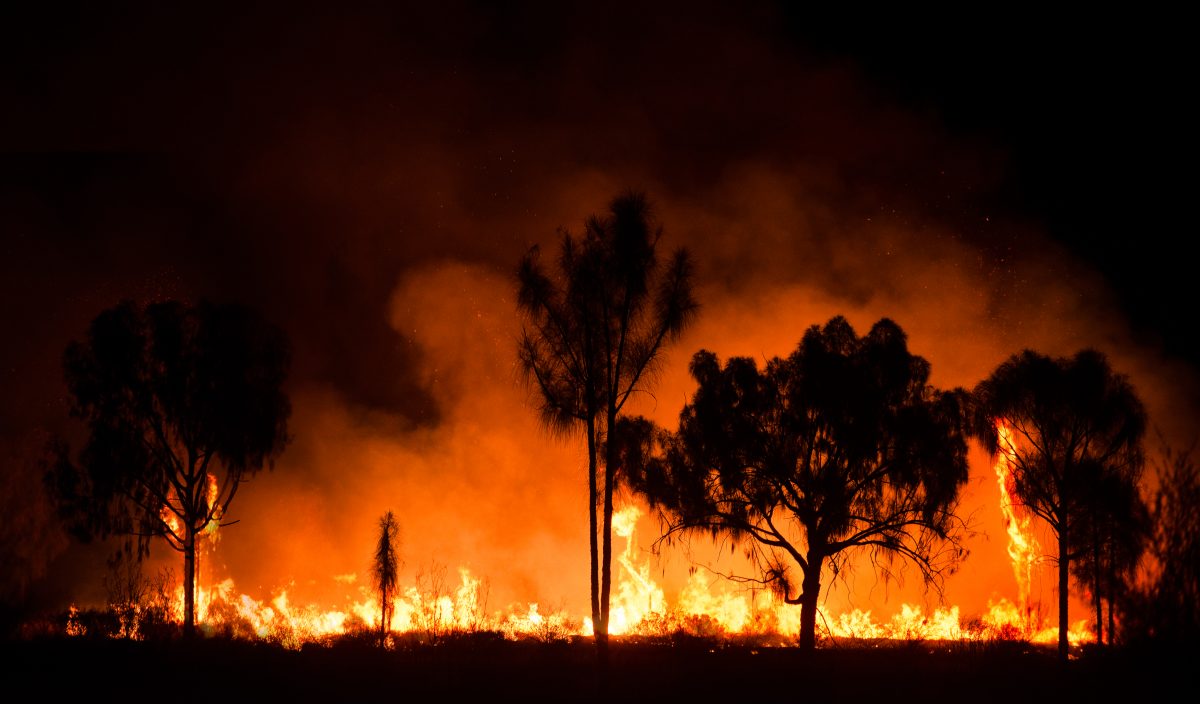 12 Tote durch Buschfeuer in Australien