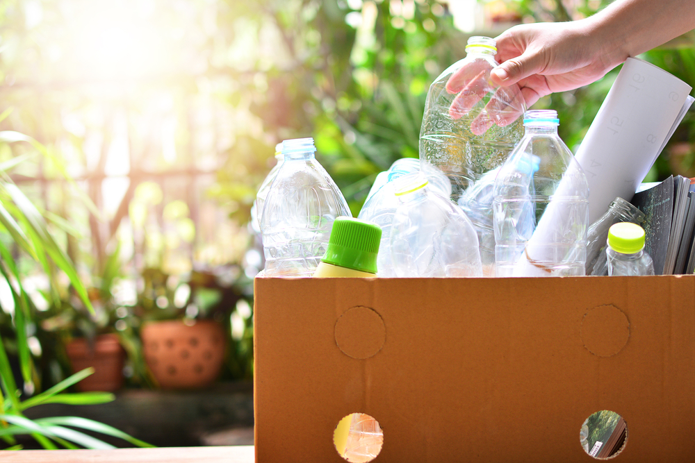 5 Fakten über Recycling, die du noch nicht kanntest