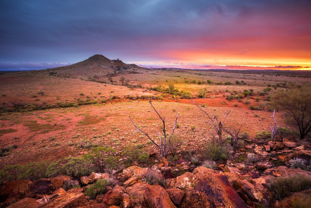 Australien: Zwei Vermisste überlebten 12 Tage im Outback