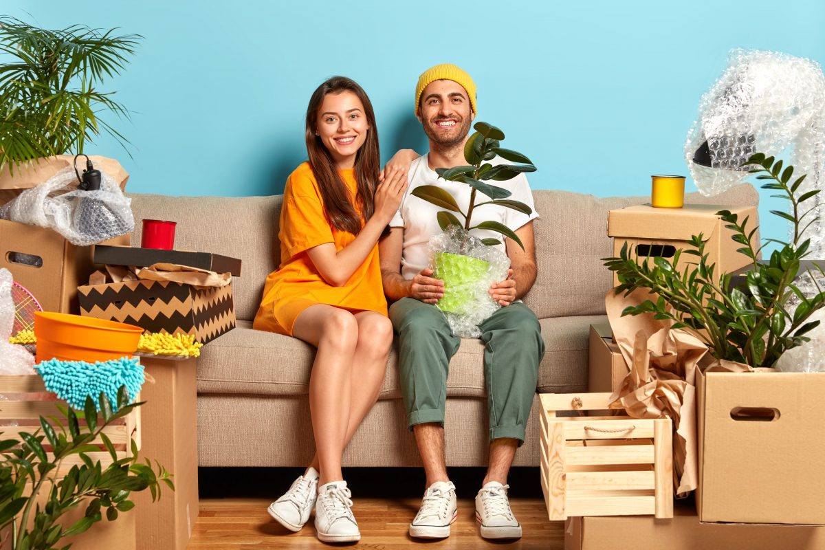 Houseplanting: Das steckt hinter dem Dating Trend