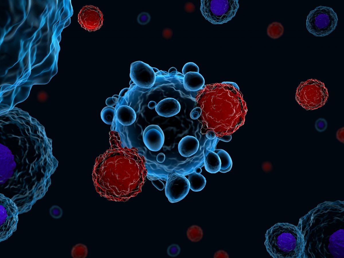 Krebsforschung: Neue Entdeckung könnte zu Immuntherapie für alle Krebsarten führen