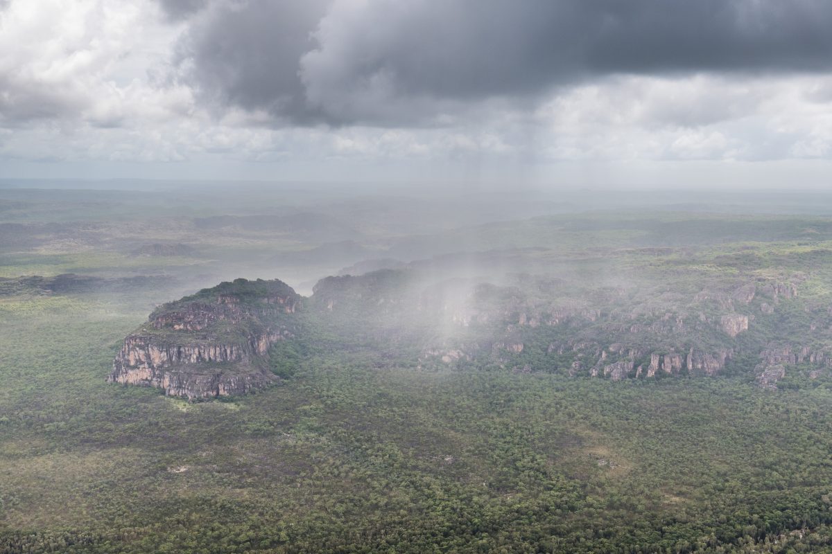 Regen in Australien: Langersehnte Hilfe im Kampf gegen Buschfeuer