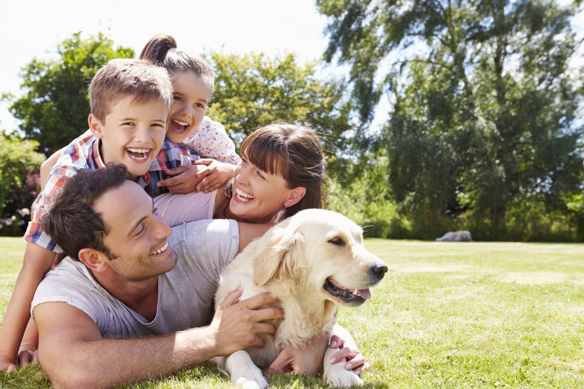 Hund wird nach 14 Jahren wieder mit Familie vereint