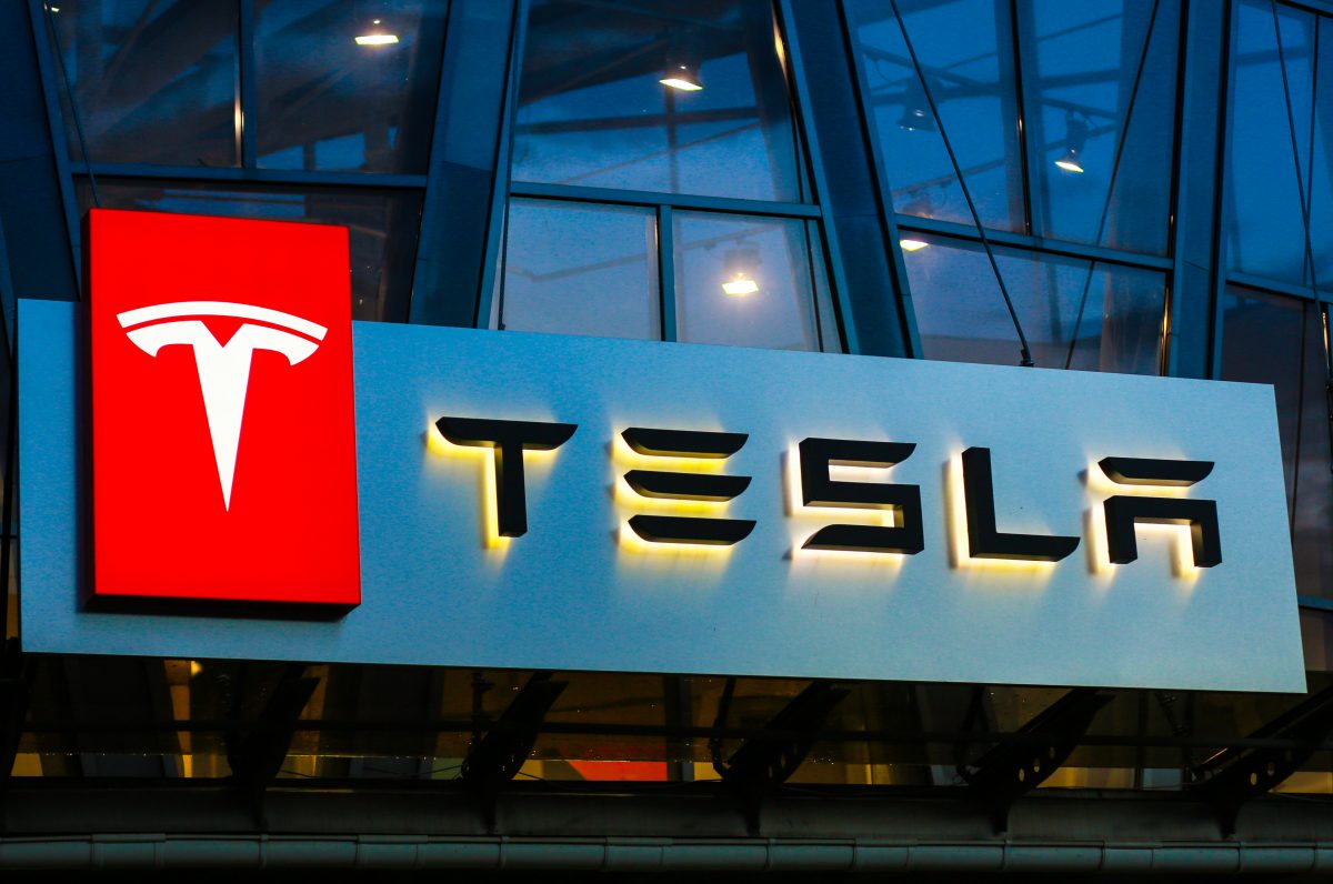 Tesla darf Waldstück für Fabrik in Deutschland roden