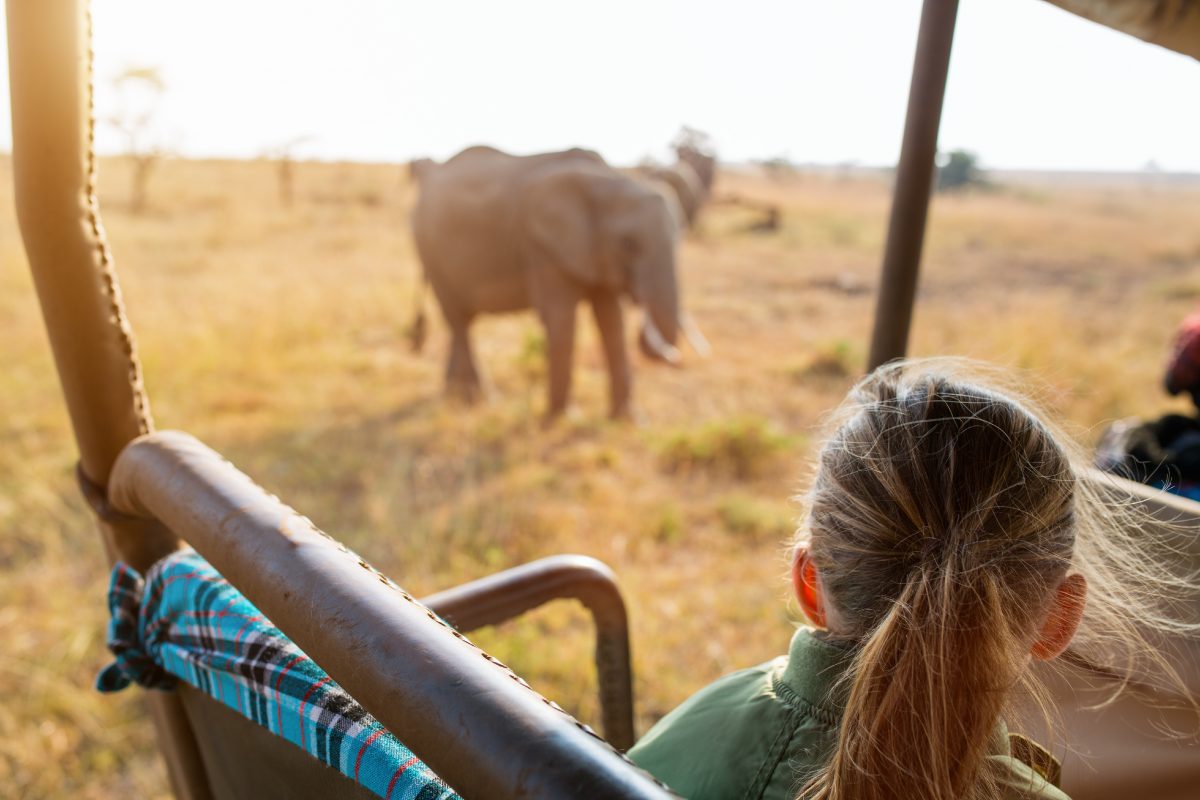 Vierjährige dürfen bei Jagdtouren in Afrika auf wilde Tiere schießen