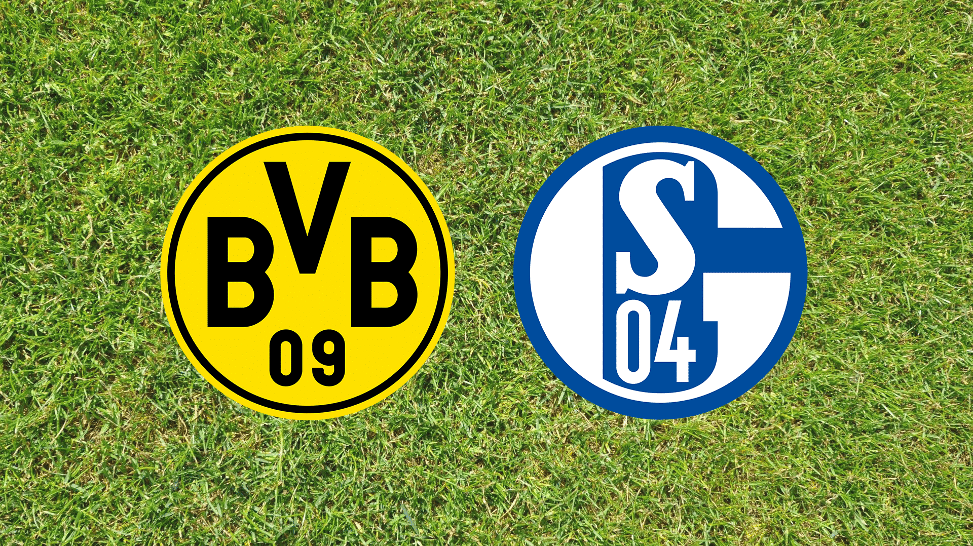 Schalke Live Schalke Live