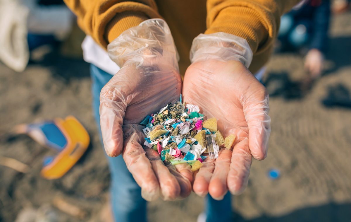 Forscher entdecken neuen Tiefseekrebs mit Mikroplastik im Körper