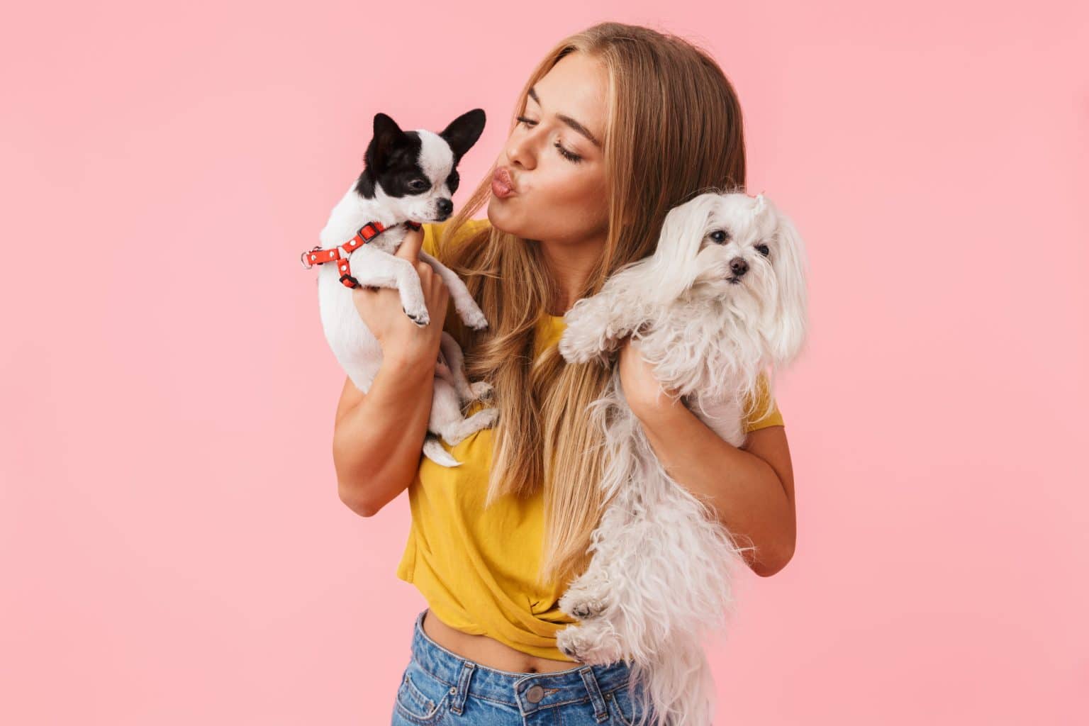 Hunde Die Aussehen Wie Ihre Besitzer So ähnlich sind sich Hunde und ihre Besitzer wirklich