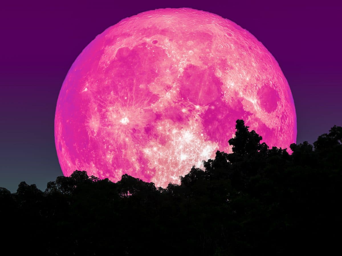 Hellster Supermond des Jahres: Pinker Vollmond im April