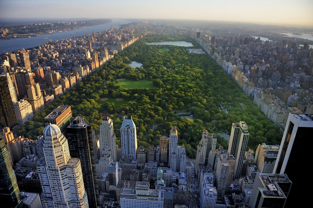 USA: New York denkt über Notfriedhöfe in Parks nach