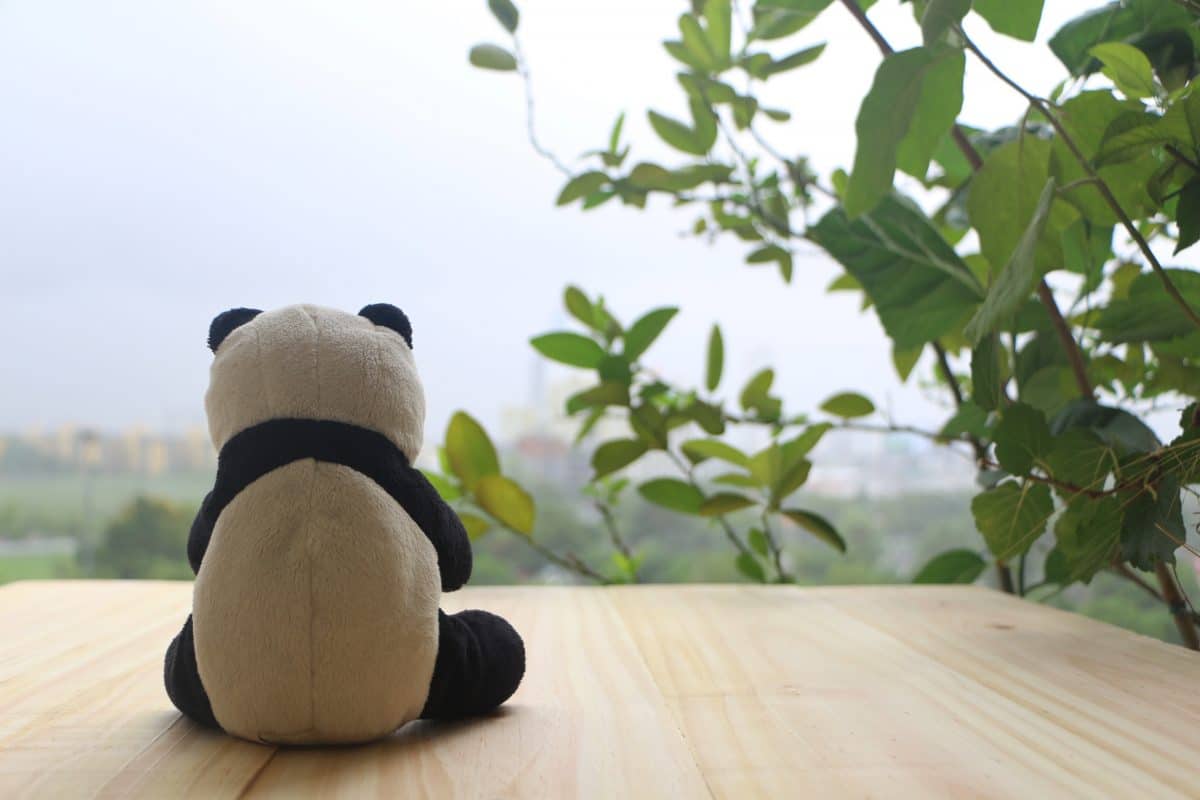 Restaurant in Thailand setzt Plüsch-Pandas an Tische, um Menschen Gesellschaft zu leisten