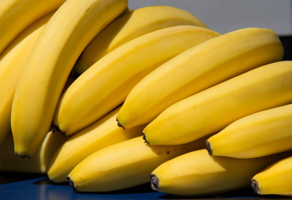 Deshalb sind Bananen radioaktiv